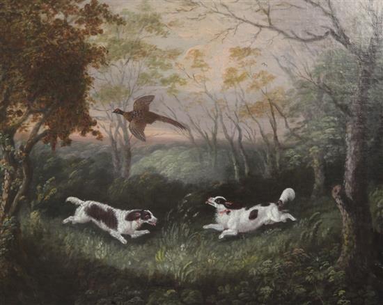 Clifton Tomson (1775-1828) Spaniels flushing out cock pheasant, 14.5 x 17.5in.